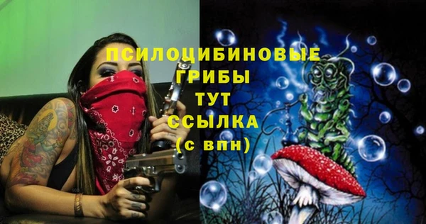 МДПВ Сатка