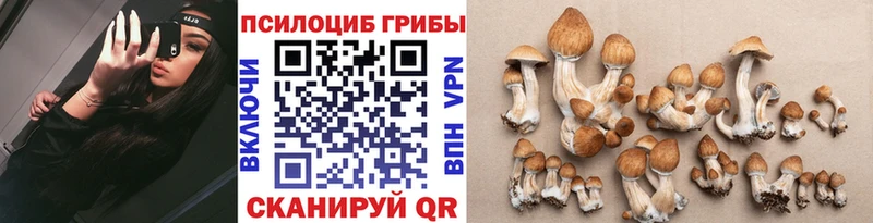 Галлюциногенные грибы MAGIC MUSHROOMS  Аксай 